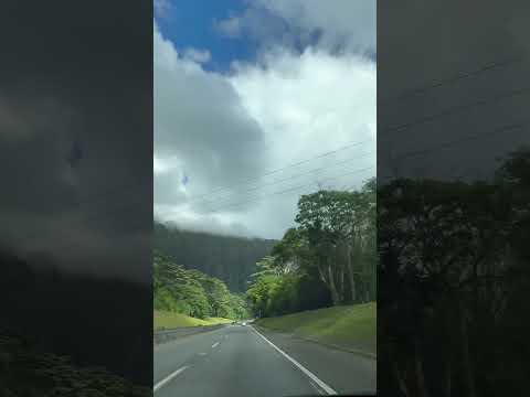 OAHU HAWAII BEAUTIFUL TREES MOUNTAINS ROAD TRIP ENJOYING THE BEAUTY OF THE ISLAND