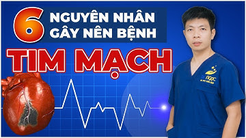 6 Nguyên Nhân Gây Nên Bệnh Tim Mạch Bạn Phải Biết | Dr Ngọc