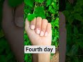 wait for beautiful part 🤔😲🔚 #song #tree #flowers #@KhushiRani-z3d