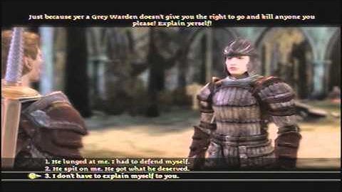 Dragon Age: Asshole Edition part 5 by Downwhere