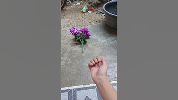 perfect reverse video shoot with music 😍 #shorts #reversed #video