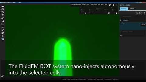 FluidFM Platform Series – Single cell nano-injection of Lucifer Yellow into CHO cells