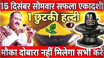 15 दिसंबर सोमवार सफला एकादशी व्रत के दिन 1 छुटकी हल्दी वाला उपाय जरुर करे || Pradeep Ji Mishra 