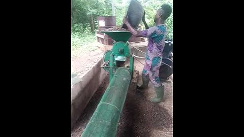 Palm karnel Shelling Machine || MOU Agricultural Engineering ||
