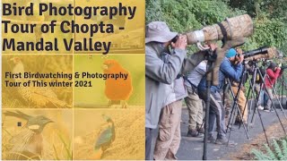 Chopta & Mandal Birding Tours 2021 Winter Bird Photography || @Rohit_nayal_vlogs