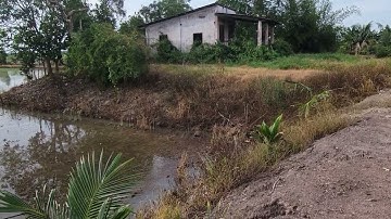 Bán 9500mv đất nông nghiệp xạ lúa  3 vụ Đất xã Tuyên Bình huyện Vĩnh Hưng tỉnh Long An cũ