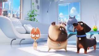 The Secret Life Of Pets Stampede Tiberius As Wildebeests, Max As Simba, Mel As Zazu, Chloe As Scar,