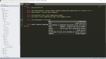 Laravel Application | Including Favicon and CSS files in head | 12
