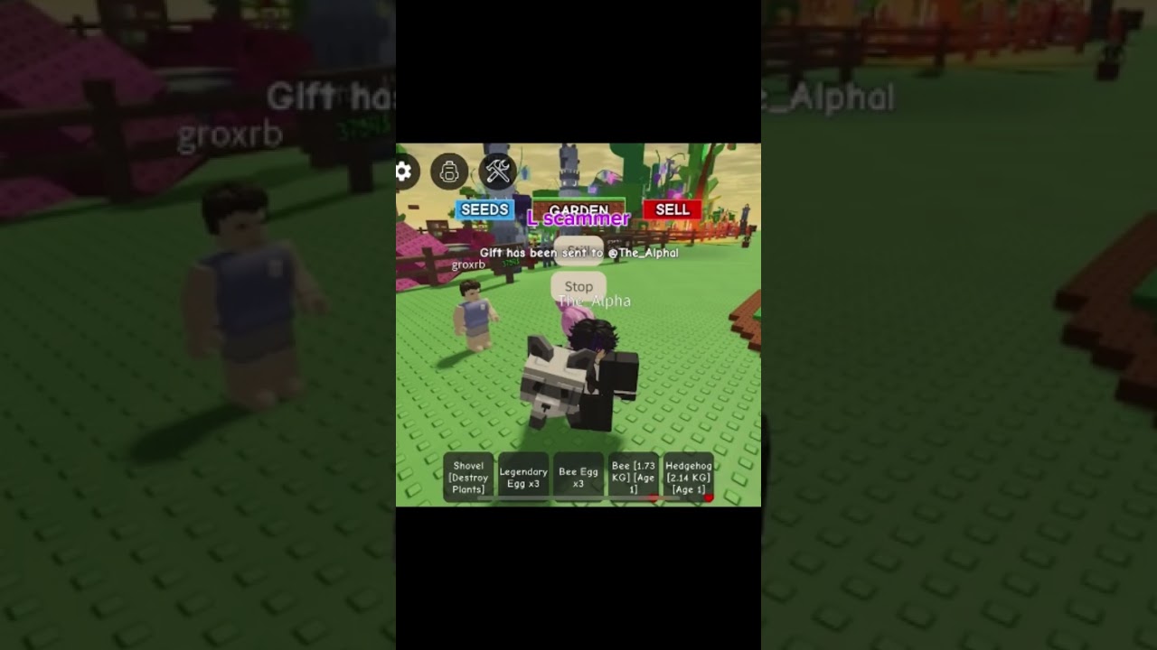 This scammer came out with my dream pet raccoon. RIP my 141B 😭😭 #growagarden #raccoon #scammed