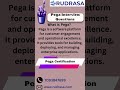 pega interview Question and answers | RUDRASA
