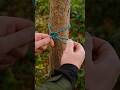 Knot Skills: Quick Release Knot, Simple, Fast, Effective! #knottying #knot #knotskills #knotmaster