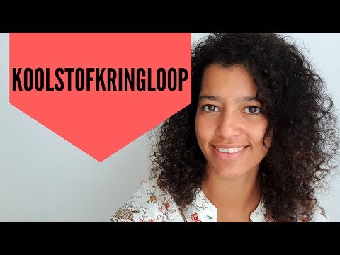 Video: Hoe het die koolstofsiklus oor tyd verander?