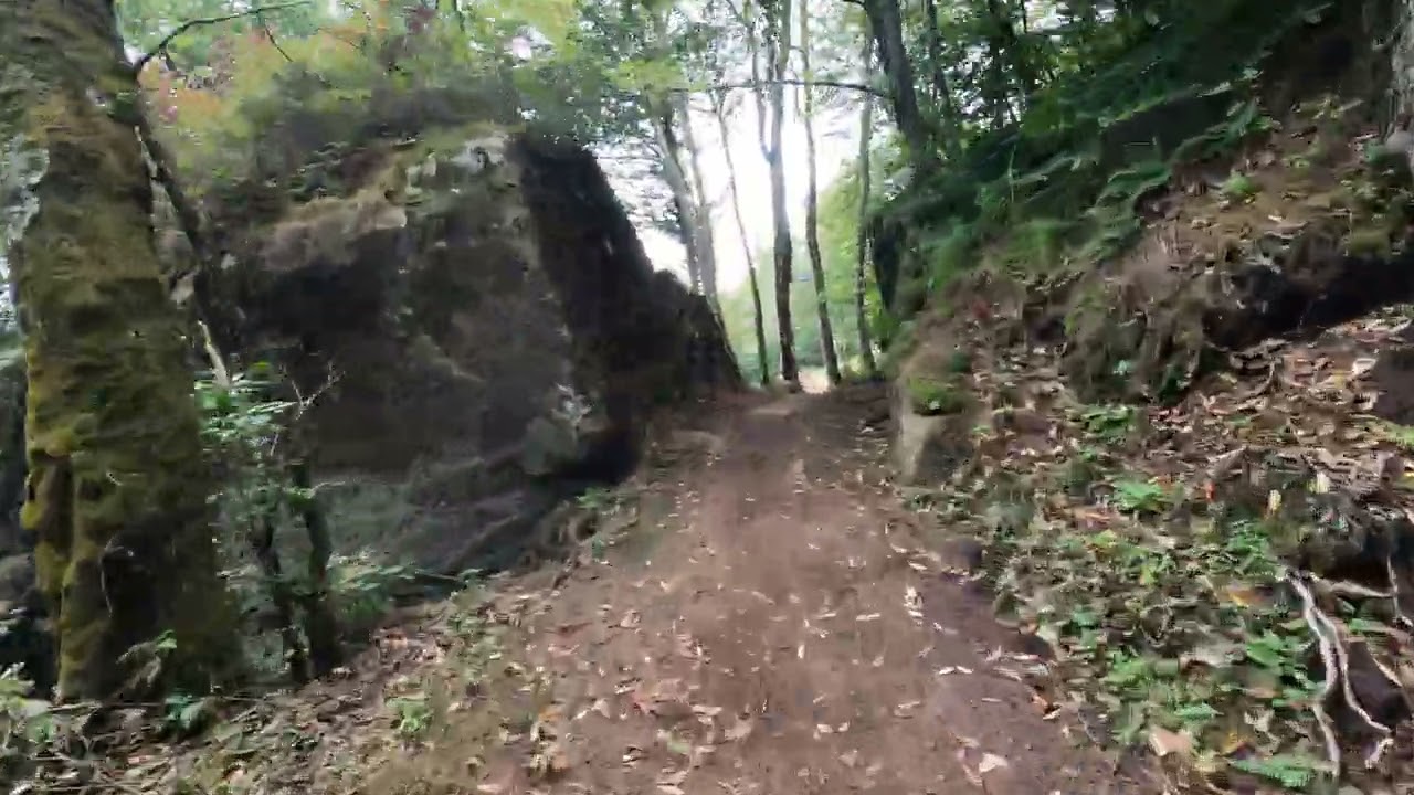 CANEBREAK at Beech Mtn.