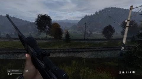 DayZ 220m Moving target shot