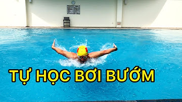 HỌC BƠI BƯỚM  | Butterfly Swimming Technique - KỸ THUẬT BƠI BƯỚM CƠ BẢN (Thầy Chiến dạy bơi)