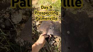 Day nine prospecting Palmerville station