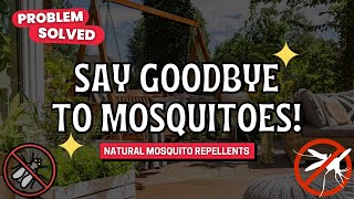 10 Plants that MOSQUITOES HATE 🚫 Natural Mosquito Repellent Plants 🌸🛡️🦟