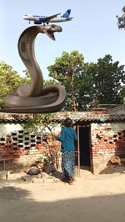 vfx snake video 🐍 #shorts