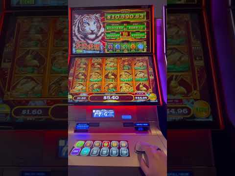 Agua Caliente Casino Wedding Winners Get Married