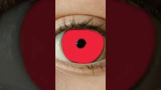 Pupilas Não Existem