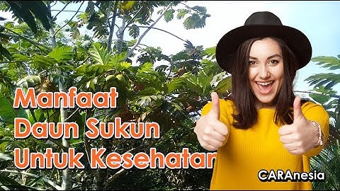 Inilah Manfaat Daun Sukun Untuk Kesehatan | CARAnesia