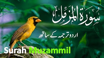 Feel the Beauty of Quran | Surah Muzammil Full | Ibrahim Al jibreen سوره المزمل  | Soul e Quran