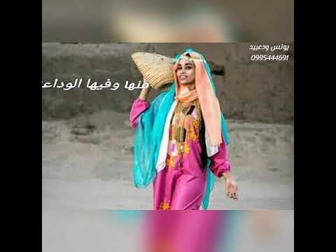 محمدالنصري