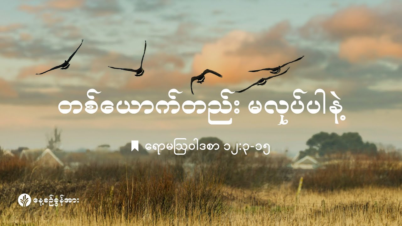 နေ့စဉ်ခွန်အား ၂၀၂၅ ခုနှစ်၊ ဒီဇင်ဘာလ  ၁  ရက်