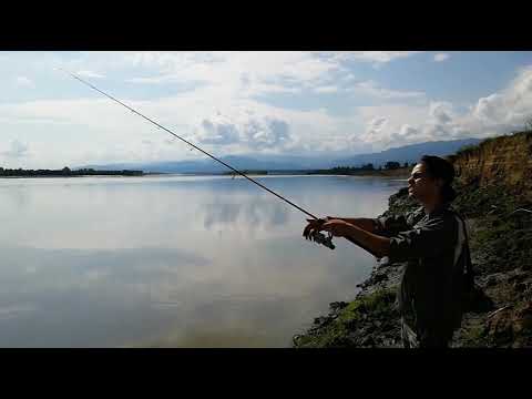 თევზაობა სპინიგით ლოქოზე მდ.  რიონი (ავანტიურა)/Fishing Catfish River rioni