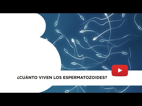 Vídeo: ¿Cuánto Tiempo Vive El Esperma Fuera Del Cuerpo?