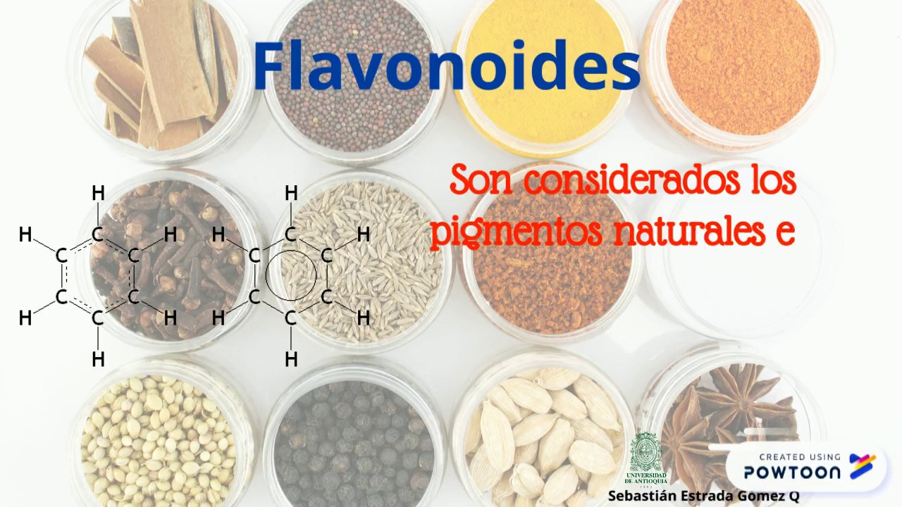 Flavonoides YouTube