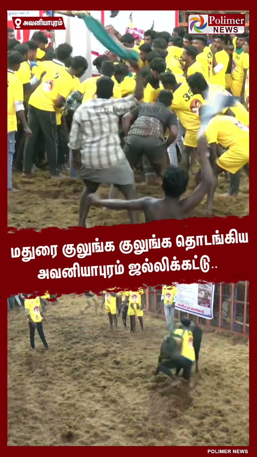 மதுரை குலுங்க குலுங்க தொடங்கிய அவனியாபுரம் ஜல்லிக்கட்டு.. #shorts | Avaniyapuram Jallikattu