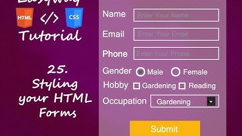25. Styling HTML Forms - English