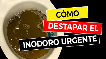 ¿Qué puedo poner en el inodoro para que no se atasque?