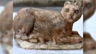 Кошки на войне Кошки на войне