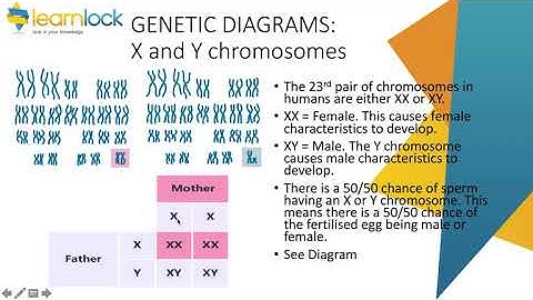 GCSE AQA Biology - B6 inheritance, variation and evolution - genetic inheritance