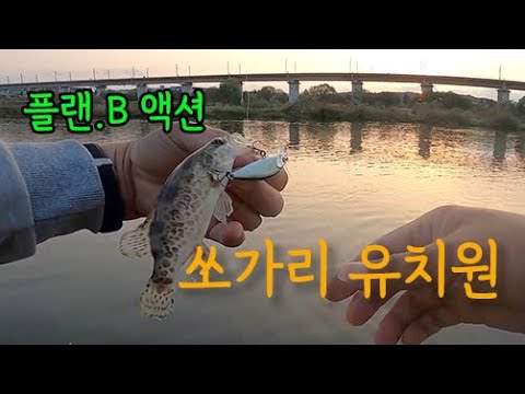 갑천 쏘가리의 미래가 츠암~ 밝다~/ 플랜.B 로드 액션/ 아이마루베이트 Z1 + <strong>Z3</strong> 싱킹미노우