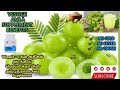 VESTIGE AMLA BENEFITS TAMIL | IMMUNITY BOOST | GOOD FOR COMMON COLD FEVER & ASTMA
