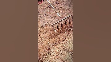 the process of burning land to remove weeds #shorts