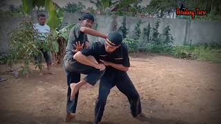 Beberapa Teknik Kuncian Dan Buka Kunci Silat Harimau Bengkulu