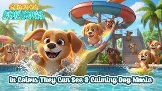 Cartoon for Dogs: Videos All-Day Entertain with Relax Music for Dogs When Home Alone screenshot 2