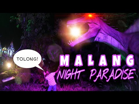 instagramable-banget!-keseruan-di-mnp-|-malang-night-paradise