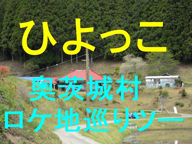 山根千佳】2019年カレンダー＜2018.11.24発売＞ - YouTube