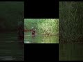Krypto #shortfilm #vietnamwar #criptozoologie