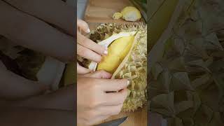 น้ำตาจะไหล #ทุเรียน #durian #ทุเรียนหมอนทอง