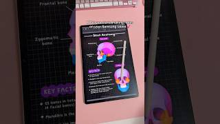 digital note taking 💕 | samsung tablet | aesthetic study notes | penly android app