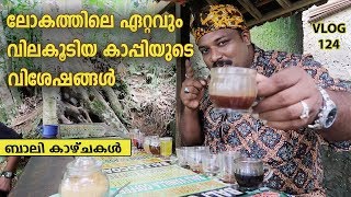 Download lagu ലോകത്തിലെ ഏറ്റവും   വിലകൂടിയ കാപ്പിയുടെ  വിശേഷങ്ങൾ | Most Expensive Coffee in the world | Kopi Luwak