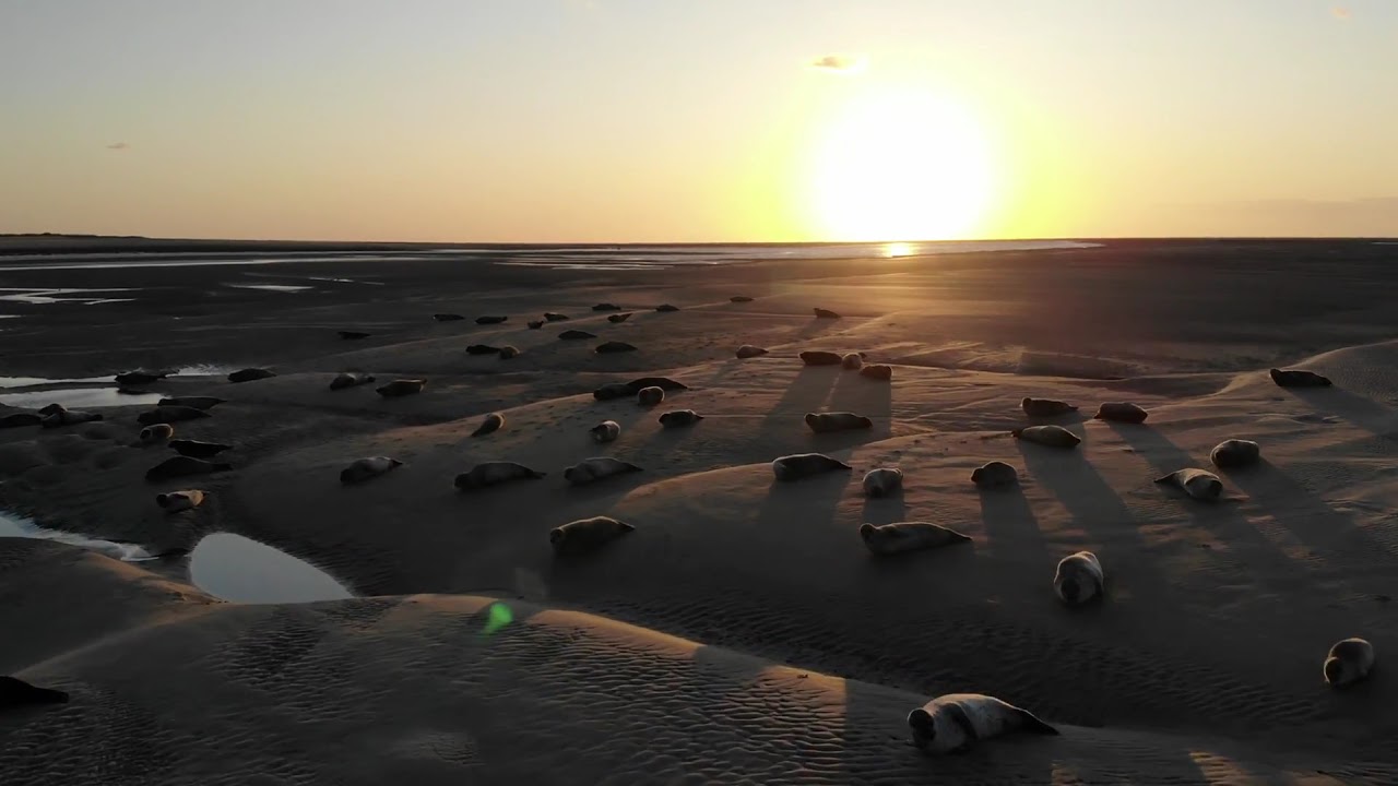 La pointe du Hourdel