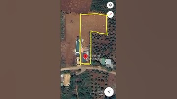 Nhà xinh sẵn vườn cây ăn trái, diện tích 2100m2, view thoáng đẹp🌿🌲 #datvendalat #datnghiduong