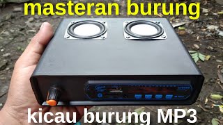 ide usaha,MASTERAN kicau burung MP3 bluetooth amplifier,banjir pesanan.